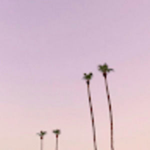 Meet your Posher, Mariam